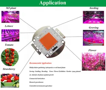 2 kom. Novi dolazak, 30 W led lampe za uzgoj punog spektra 380 nm ~ 840 nm za hidroponski uzgoj/staklenika/sobno vrtne biljke