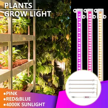 Led žarulja za rast biljaka Integrirani grupa plastenika sa svjetiljkama za uzgoj preslatko mladunče Lampa za rast biljaka