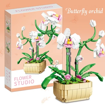 Leptir orhideja, model 