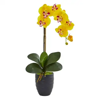 Umjetna sastav orhideje phalaenopsis u keramičke crna vazi, žuti suho cvijeće, trava пампасов, Božur, umjetno cvijeće u hostelu 